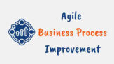 Agile Business Process Improvement