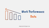 Work Performance Data