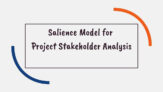 Salience Model for Project Stakeholder Analysis