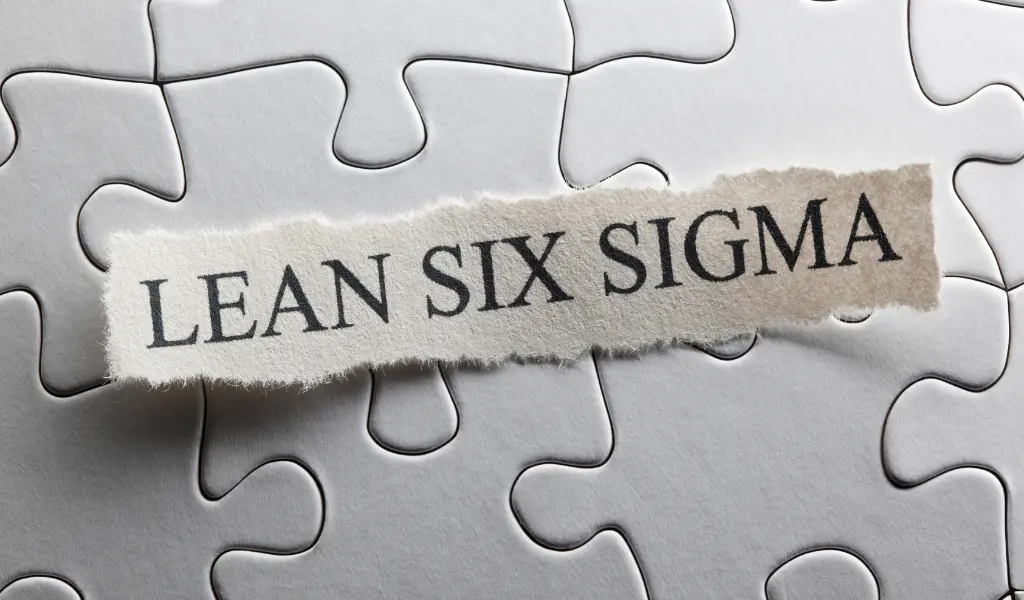 Lean Six Sigma Methodology
