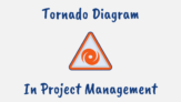 What is a Tornado Diagram