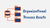 What are Organizational Process Assets (OPAs)
