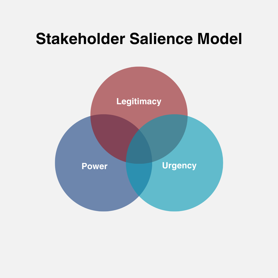 Stakeholder salience model