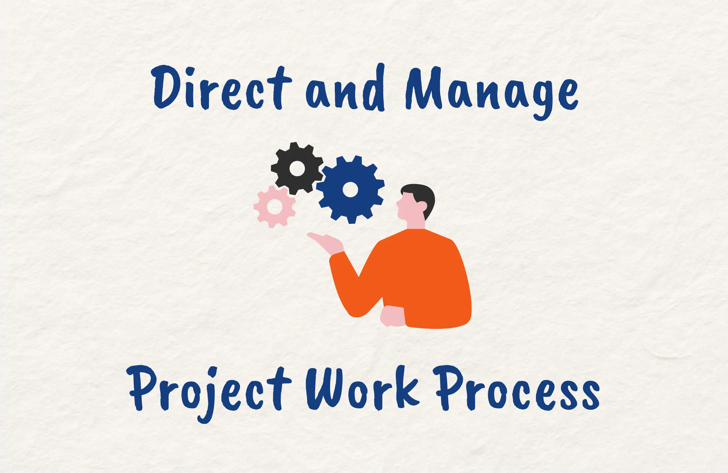 Direct and Manage Project Work Process in Project Management