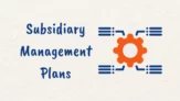 What are Subsidiary Management Plans in Project Management