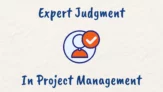 What is Expert Judgment in Project Management