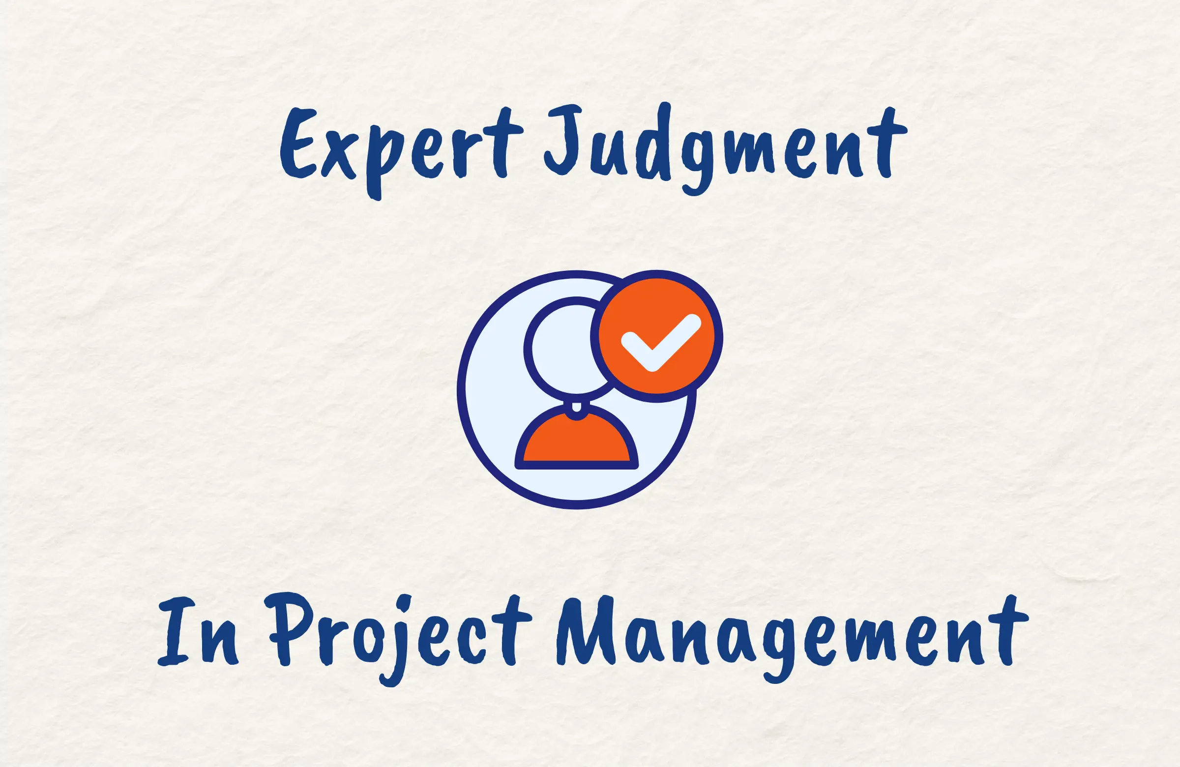 What is Expert Judgment in Project Management